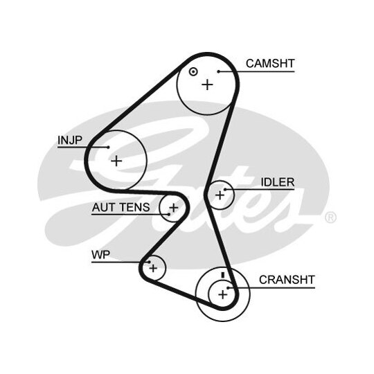 K025598XS - Timing Belt Set 