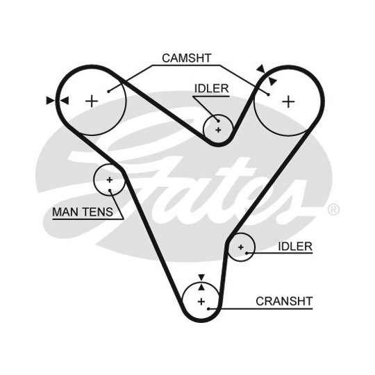 T214RB - Hammasrihm 