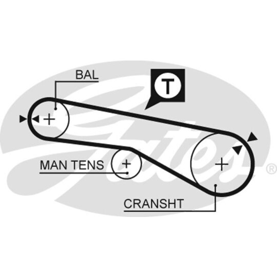 K015481XS - Hammashihnasarja 