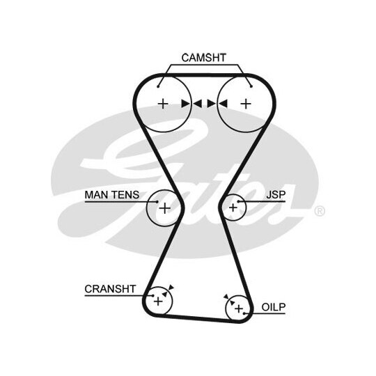 K025255XS - Timing Belt Set 