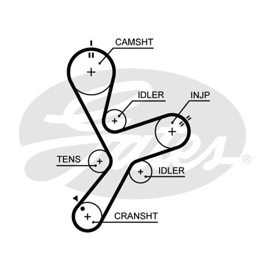 K025641XS - Timing Belt Set 