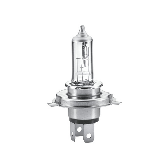 8GJ 223 498-221 - Bulb 