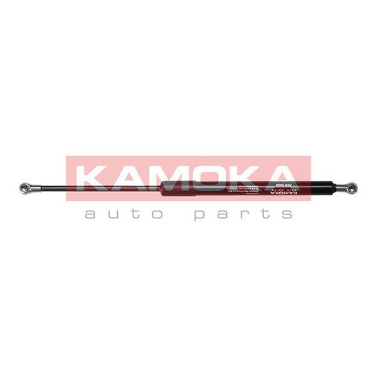 7091002 - Gas Spring, bonnet 