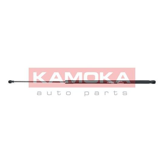 7091020 - Gas Spring, bonnet 