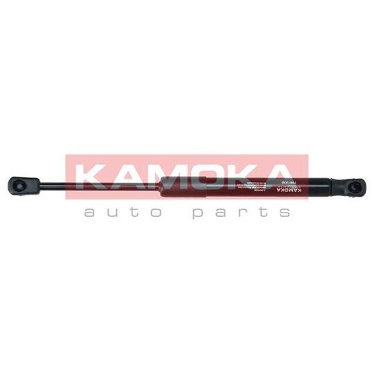 7091030 - Gas Spring, bonnet 