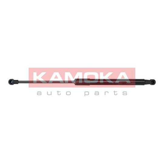 7091025 - Gas Spring, bonnet 