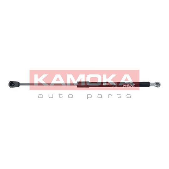 7091059 - Gas Spring, bonnet 