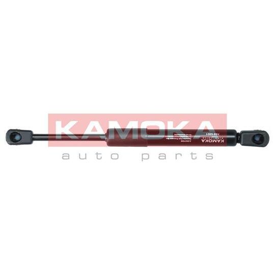 7091051 - Gas Spring, bonnet 