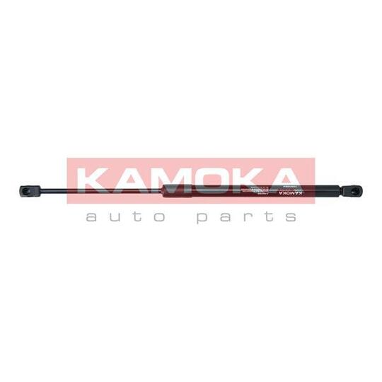 7091064 - Gas Spring, bonnet 