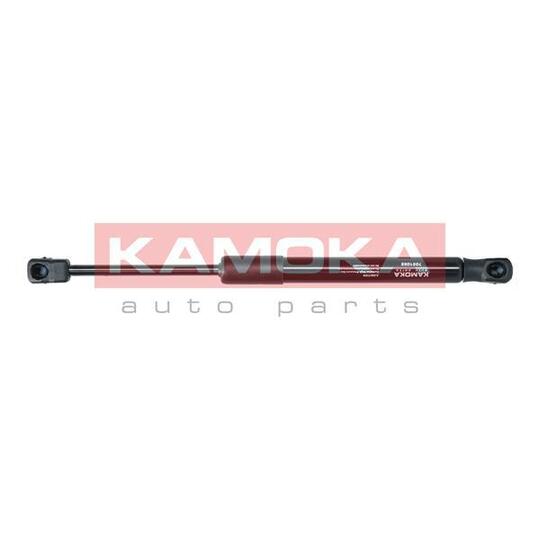 7091065 - Gas Spring, bonnet 