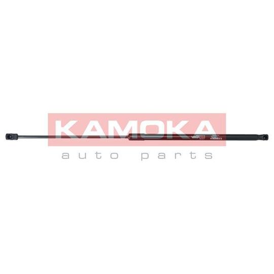 7091076 - Gas Spring, bonnet 