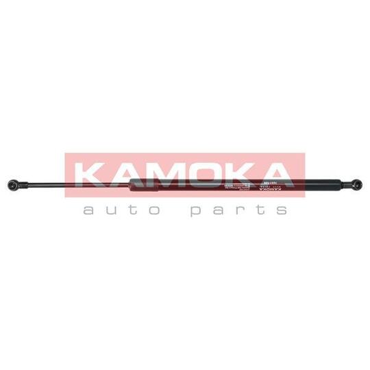 7091126 - Gas Spring, bonnet 