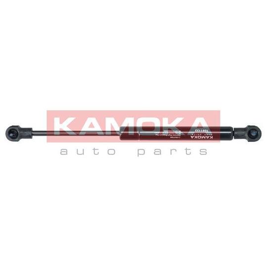 7091133 - Gas Spring, bonnet 