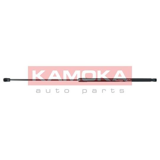 7091132 - Gas Spring, bonnet 