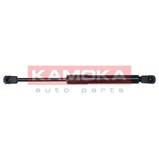 7091138 - Gas Spring, bonnet 