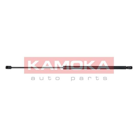 7091159 - Gas Spring, bonnet 