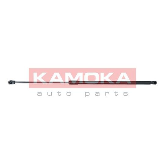 7091154 - Gas Spring, bonnet 