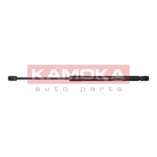 7091141 - Gas Spring, bonnet 