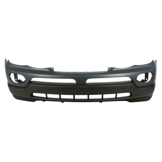 5510-00-0095906P - Bumper 