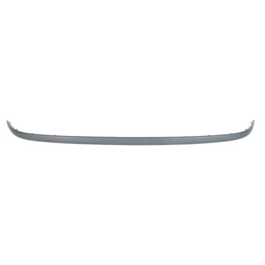 5513-00-00859710P - Trim/Protective Strip, bumper 