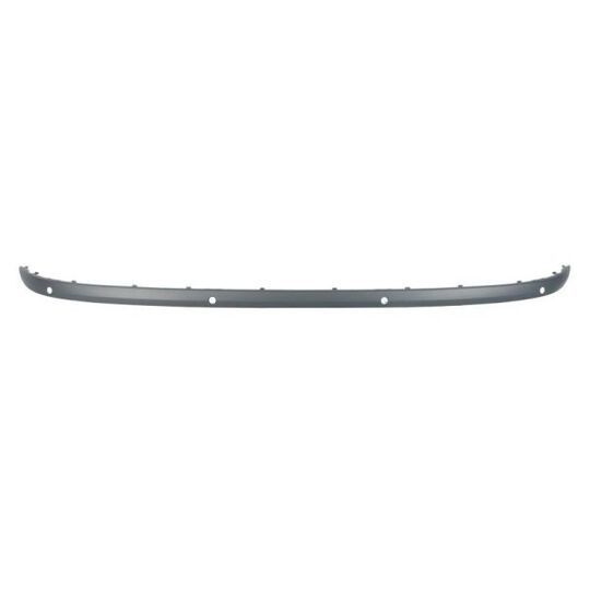 5513-00-0085972P - Trim/Protective Strip, bumper 