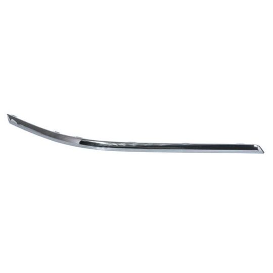 6502-07-9547975P - Trim/Protective Strip, bumper 