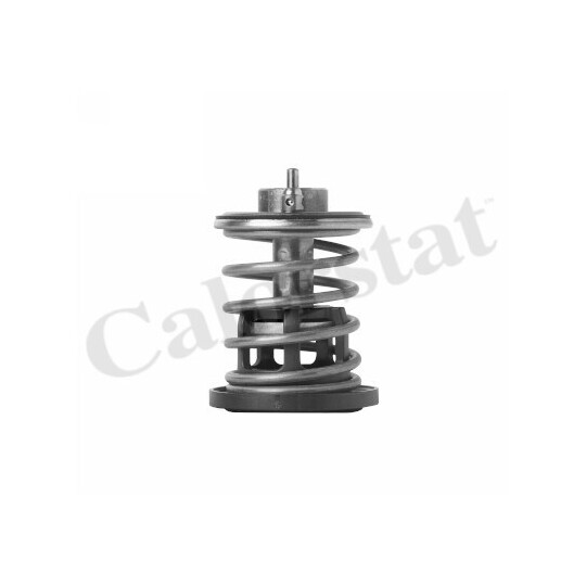 TH7382.88 - Thermostat, coolant 