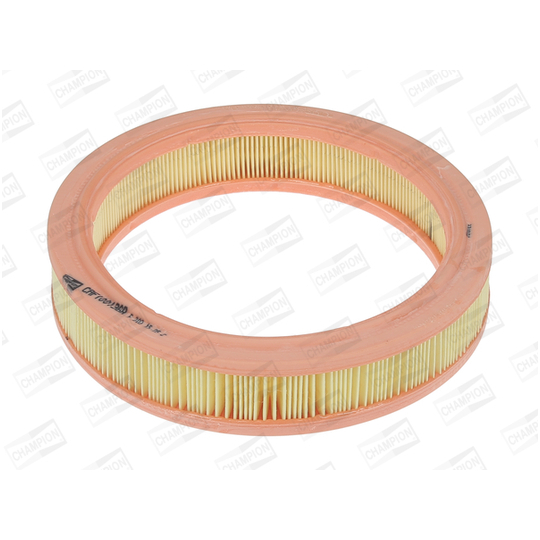 CAF100136R - Air filter 