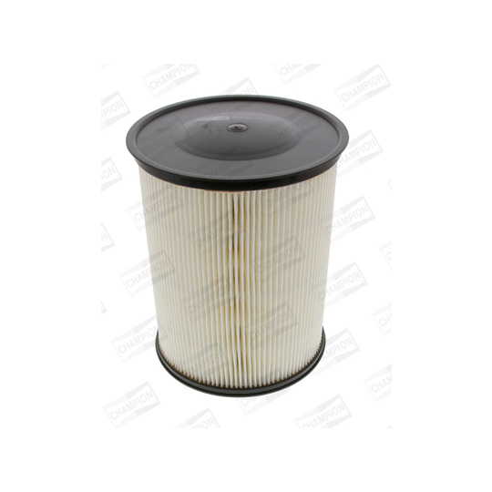 CAF100493C - Air filter 