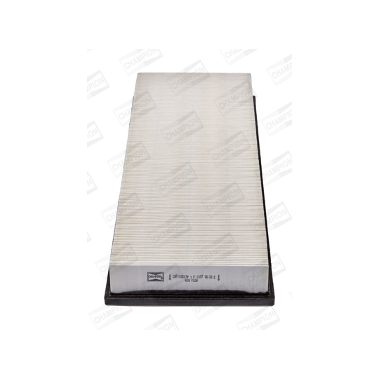 CAF100517P - Air filter 