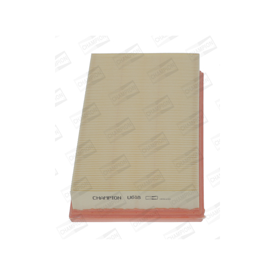 CAF100618P - Air filter 