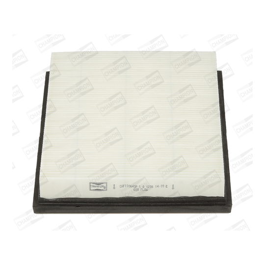 CAF100643P - Air filter 