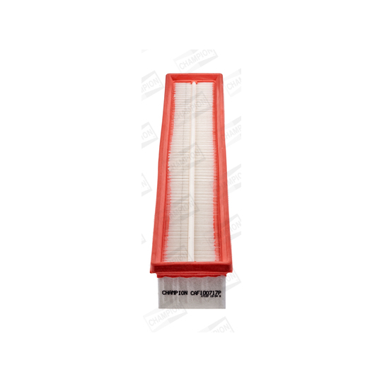 CAF100717P - Air filter 