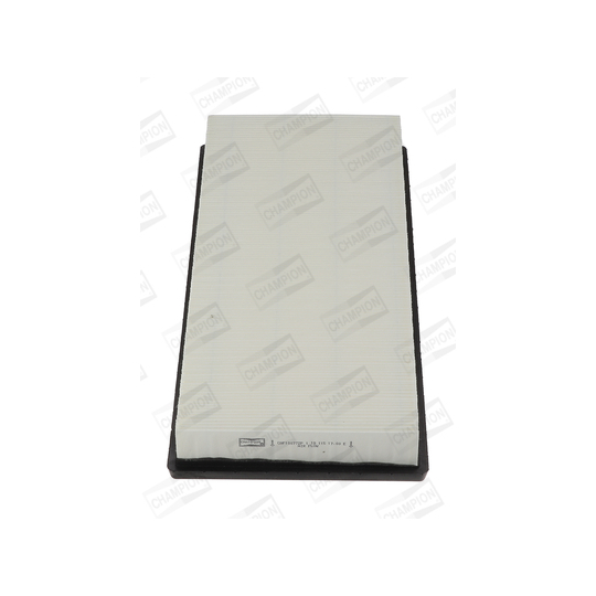 CAF100772P - Air filter 