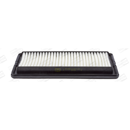 CAF100824P - Air filter 