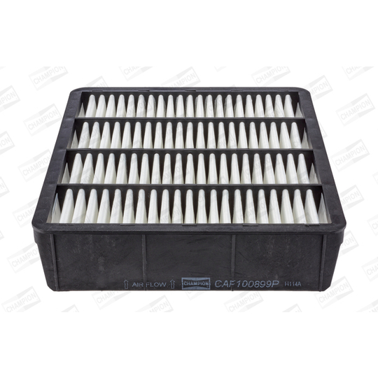 CAF100899P - Air filter 