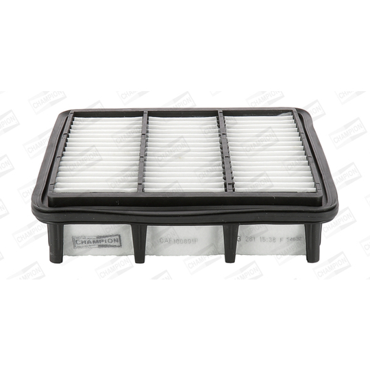 CAF100891P - Air filter 