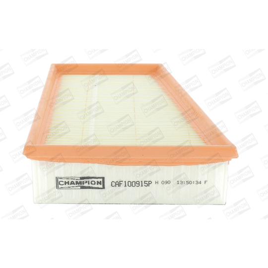 CAF100915P - Air filter 