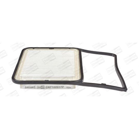 CAF100917P - Air filter 