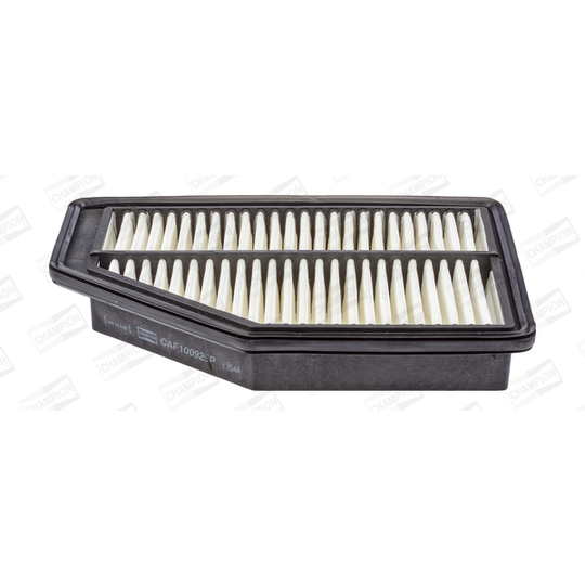 CAF100925P - Air filter 