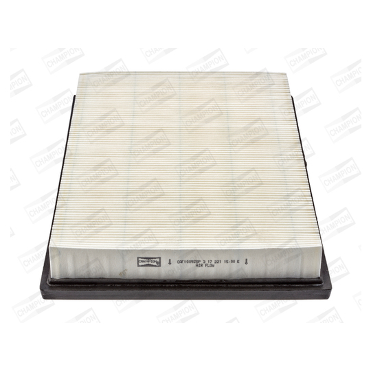 CAF100928P - Air filter 