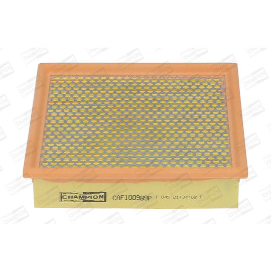 CAF100989P - Air filter 