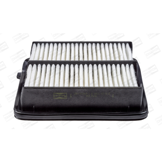 CAF101051P - Air filter 