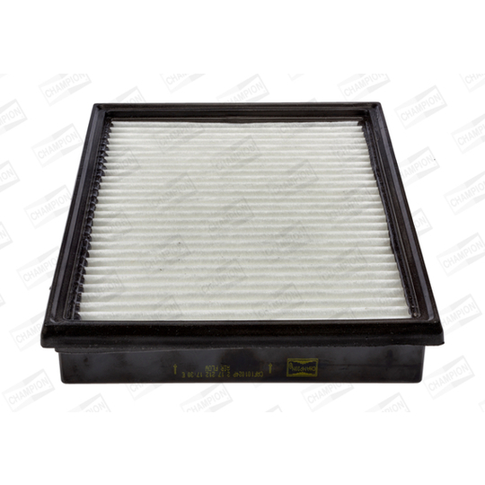 CAF101024P - Air filter 