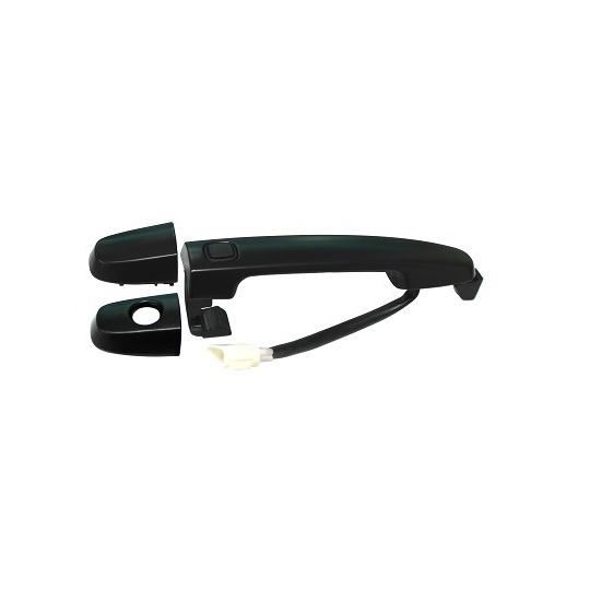 ZR80702 - Door Handle 