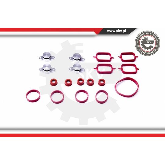 96SKV054 - Gasket Set, intake manifold 