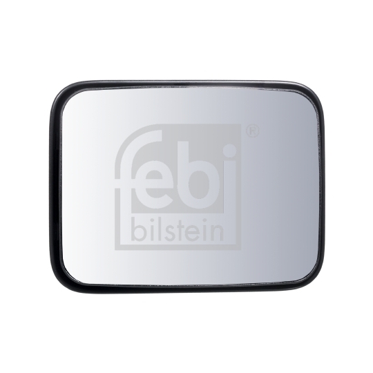 100897 - Wide-Angle Mirror 