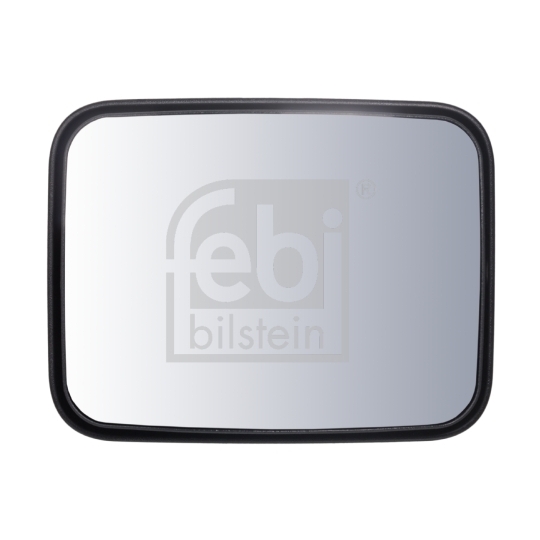 100915 - Wide-Angle Mirror 