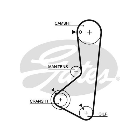 1256RM - Timing Belt 