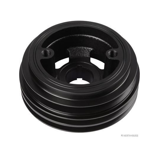 J1095021 - Belt Pulley, crankshaft 